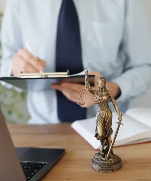 Pere López de Coca | advocats penalistes a Girona |